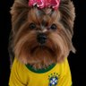 Profilbild von Lilian Gadh