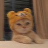 TheWhiskasBoy (Follow for IQ loss) 的头像