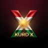 Kurds on X's profile picture