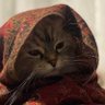 JM's profile picture