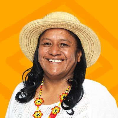 Aida Quilcué's profile picture