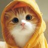 akun½baik🐱🍁💐 的头像