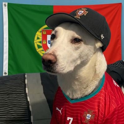 Na Cho Ne Ta ✪ 🇵🇹🇪🇬's profile picture