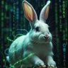 The White Rabbit 的头像