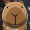 Profilbild von ark