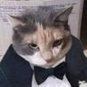 Felixx''s profile picture