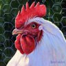Melidon's profile picture
