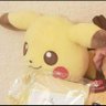 たけちゃん(プレピク)本家's profile picture