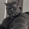 CJ profil fotoğrafı