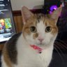 ImSprouts profil fotoğrafı