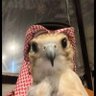 المحنكك 的头像