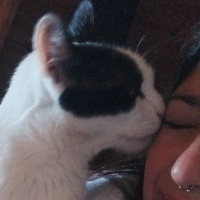 flachu21's profile picture