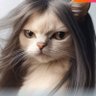 Profilbild von mma