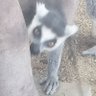Profilbild von ゆうくんパンダ🐼