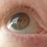 keith casselman profil fotoğrafı