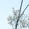 ojukuko profil fotoğrafı