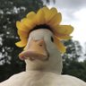 Jey's profile picture