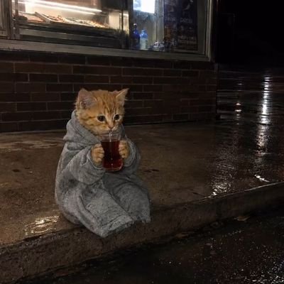 vvisnelibrowni's profile picture