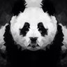 BLK_PNDA ⚫⚪ 的头像