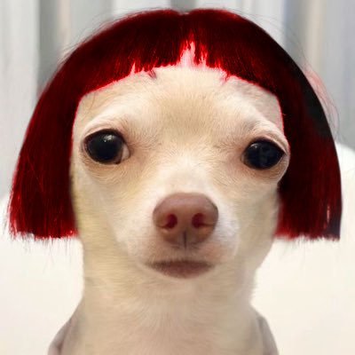 น้องมิพุ's profile picture