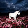 sub 🦄 profil fotoğrafı