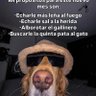 Profilbild von Marco Echeverria