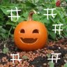 ▲すの▲かぼちゃん🎃 profil fotoğrafı