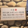 키치네코 profil fotoğrafı