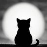 Destiny07 NT profil fotoğrafı