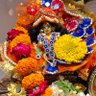 Aditi jaiswal's profile picture