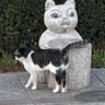 Mic profil fotoğrafı