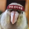 Profilbild von ખਅ