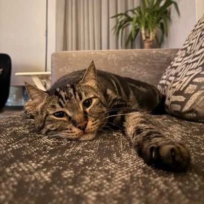 aybeneva's profile picture