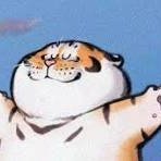 dongmantian3's profile picture