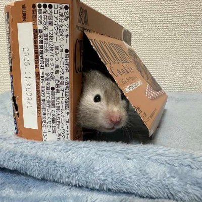 حصريات العنكبوت's profile picture