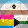KushenFrost's profile picture