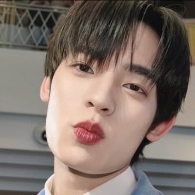 pupnpolar's profile picture