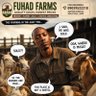 Profilbild von Adenekan Fuhad Tobiloba