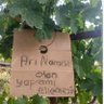 Фото профиля Pambık Prens