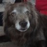 Profilbild von Neil