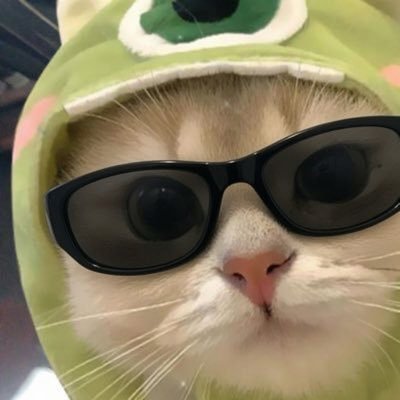Petae_Lynch's profile picture