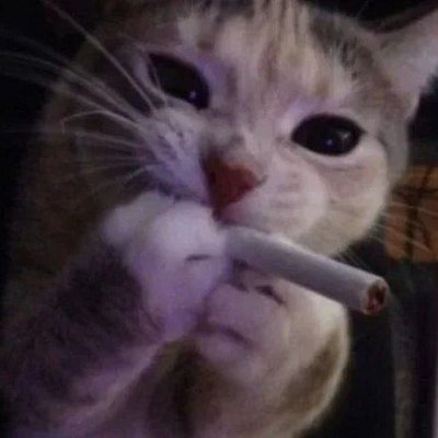 Sushi's profile picture