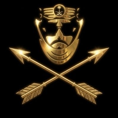 ARROW_KSA3's profile picture