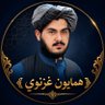 همایون غزنوي's profile picture