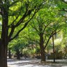Profilbild von 地方の凡人観察日記
