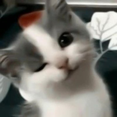 ฬฯ 🎀🩷 ³⁹'s profile picture