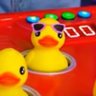 quack's profile picture