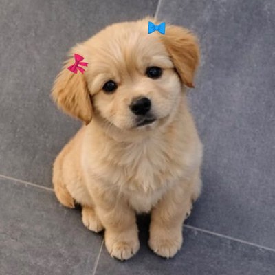 yayoyoyea's profile picture