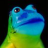 Nice jpegs profil fotoğrafı