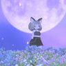 いちあつし@VRC垢 profil fotoğrafı